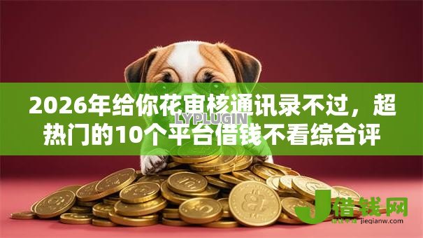 2026年给你花审核通讯录不过，超热门的10个平台借钱不看综合评分推荐