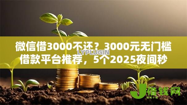 微信借3000不还？3000元无门槛借款平台推荐，5个2025夜间秒下款高炮口子盘点