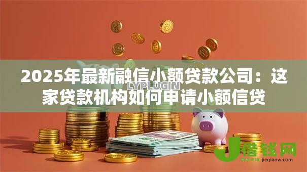 2025年最新融信小额贷款公司：这家贷款机构如何申请小额信贷
