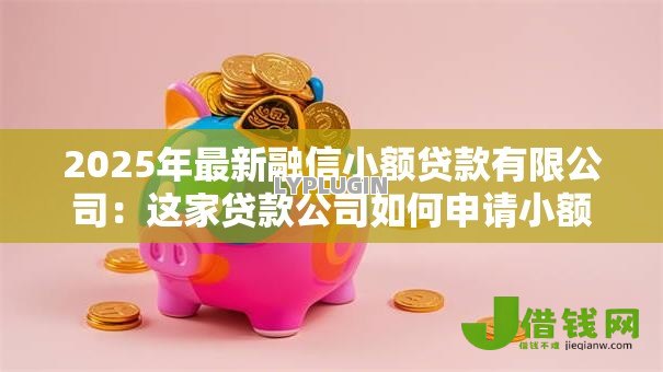 2025年最新融信小额贷款有限公司：这家贷款公司如何申请小额信贷