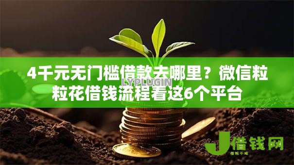 4千元无门槛借款去哪里?微信粒粒花借钱流程看这6个平台 4千元无门槛借款去哪里?微信粒粒花借钱流程看这6个平台