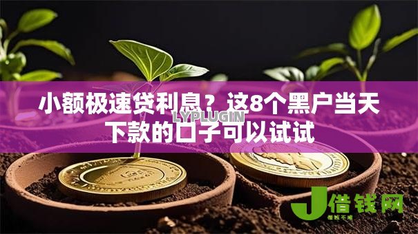 小额极速贷利息？这8个黑户当天下款的口子可以试试