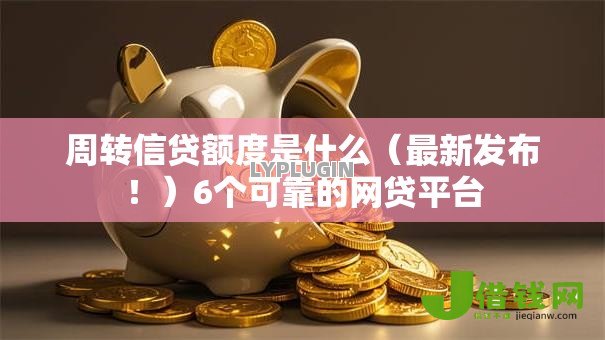 周转信贷额度是什么（最新发布！）6个可靠的网贷平台