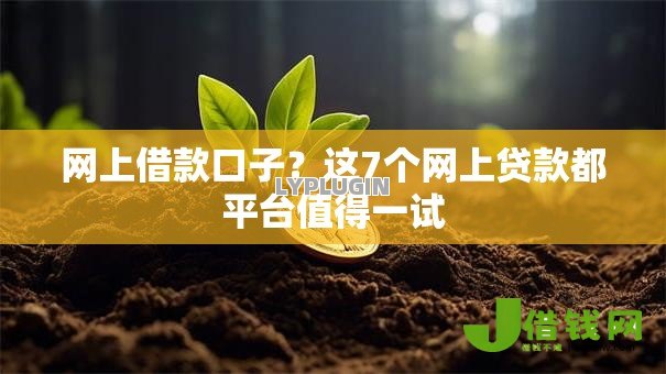 网上借款口子？这7个网上贷款都平台值得一试