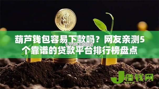 葫芦钱包容易下款吗？网友亲测5个靠谱的贷款平台排行榜盘点