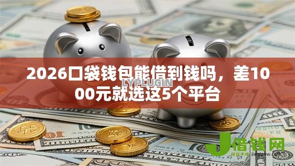 2026口袋钱包能借到钱吗，差1000元就选这5个平台