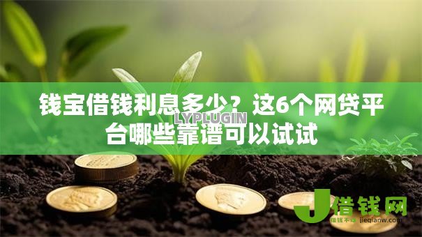 钱宝借钱利息多少?这6个网贷平台哪些靠谱可以试试 钱宝借钱利息多少?这6个网贷平台哪些靠谱可以试试