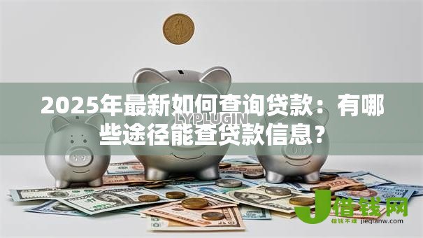 2025年最新如何查询贷款：有哪些途径能查贷款信息？