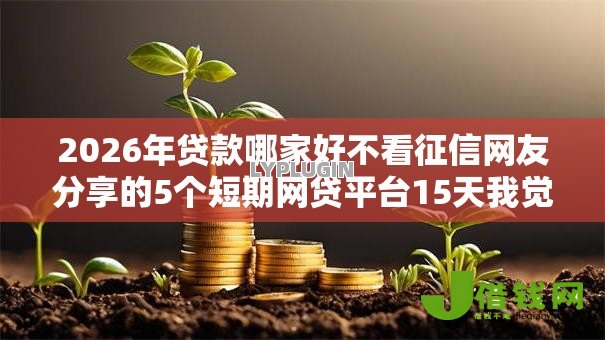 2026年贷款哪家好不看征信网友分享的5个短期网贷平台15天我觉得不错！