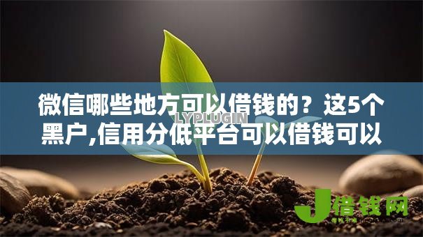 微信哪些地方可以借钱的?这5个黑户,信用分低平台可以借钱可以试试 微信哪些地方可以借钱的?这5个黑户,信用分低平台可以借钱可以试试