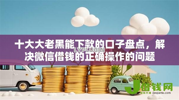 十大大老黑能下款的口子盘点，解决微信借钱的正确操作的问题