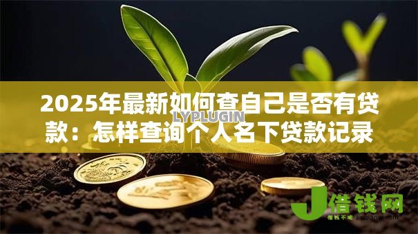 2025年最新如何查自己是否有贷款：怎样查询个人名下贷款记录