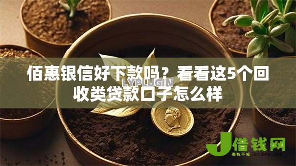 佰惠银信好下款吗?看看这5个回收类贷款口子怎么样 佰惠银信好下款吗?看看这5个回收类贷款口子怎么样