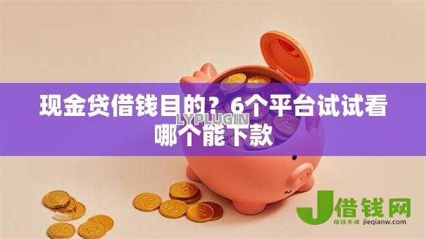 现金贷借钱目的？6个平台试试看哪个能下款