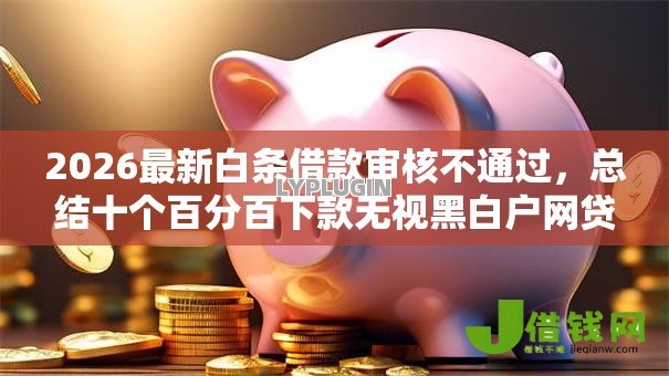 2026最新白条借款审核不通过，总结十个百分百下款无视黑白户网贷口子！