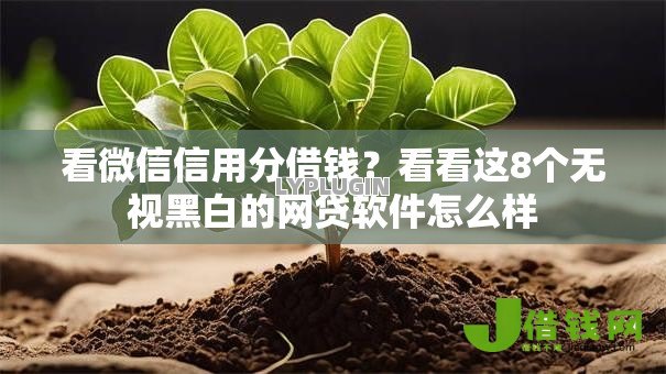 看微信信用分借钱?看看这8个无视黑白的网贷软件怎么样 看微信信用分借钱?看看这8个无视黑白的网贷软件怎么样