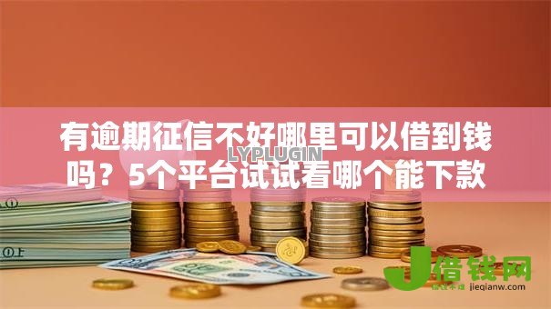 有逾期征信不好哪里可以借到钱吗？5个平台试试看哪个能下款
