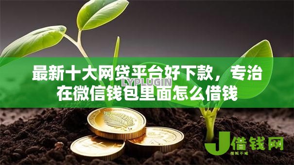 最新十大网贷平台好下款,专治在微信钱包里面怎么借钱 最新十大网贷平台好下款,专治在微信钱包里面怎么借钱