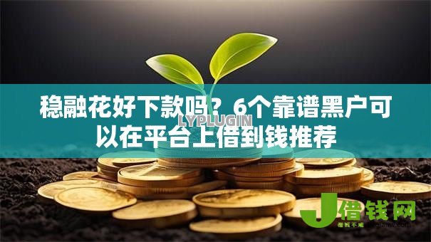 稳融花好下款吗？6个靠谱黑户可以在平台上借到钱推荐