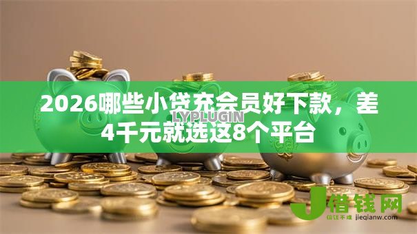 2026哪些小贷充会员好下款，差4千元就选这8个平台