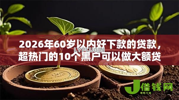 2026年60岁以内好下款的贷款,超热门的10个黑户可以做大额贷款口子推荐 2026年60岁以内好下款的贷款,超热门的10个黑户可以做大额贷款口子推荐