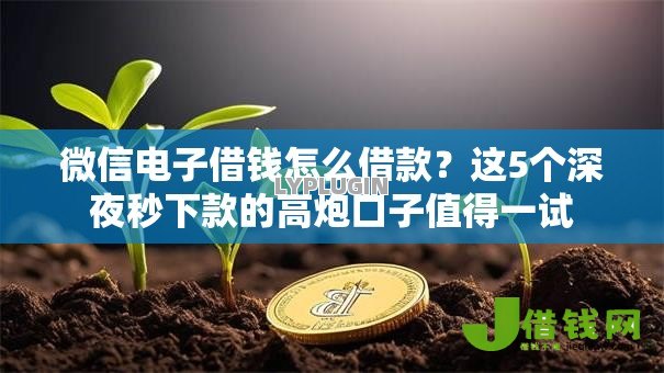 微信电子借钱怎么借款？这5个深夜秒下款的高炮口子值得一试