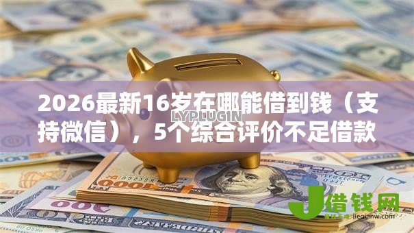 2026最新16岁在哪能借到钱（支持微信），5个综合评价不足借款平台能够借到钱无私分享