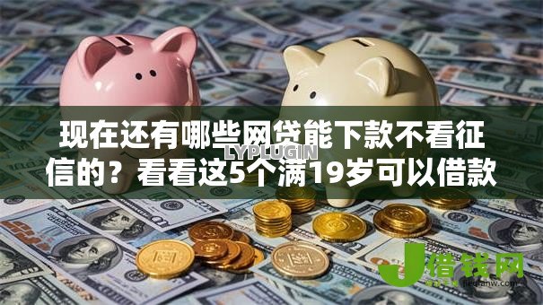现在还有哪些网贷能下款不看征信的?看看这5个满19岁可以借款的软件怎么样 现在还有哪些网贷能下款不看征信的?看看这5个满19岁可以借款的软件怎么样