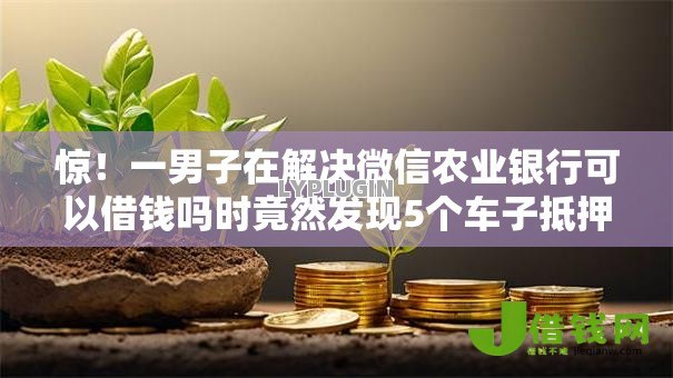 惊！一男子在解决微信农业银行可以借钱吗时竟然发现5个车子抵押贷款平台，事后分享了出来