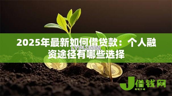 2025年最新如何借贷款:个人融资途径有哪些选择 2025年最新如何借贷款:个人融资途径有哪些选择