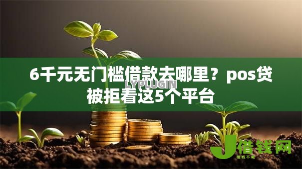 6千元无门槛借款去哪里？pos贷被拒看这5个平台