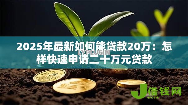2025年最新如何能贷款20万：怎样快速申请二十万元贷款