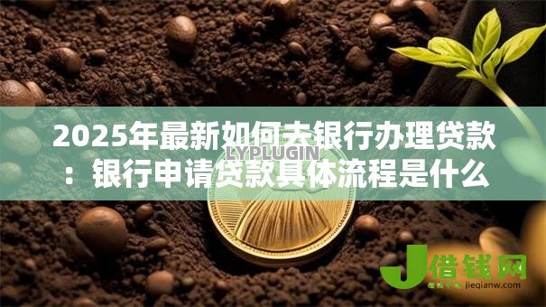 2025年最新如何去银行办理贷款：银行申请贷款具体流程是什么