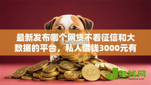 最新发布哪个网贷不看征信和大数据的平台，私人借钱3000元有这7个渠道