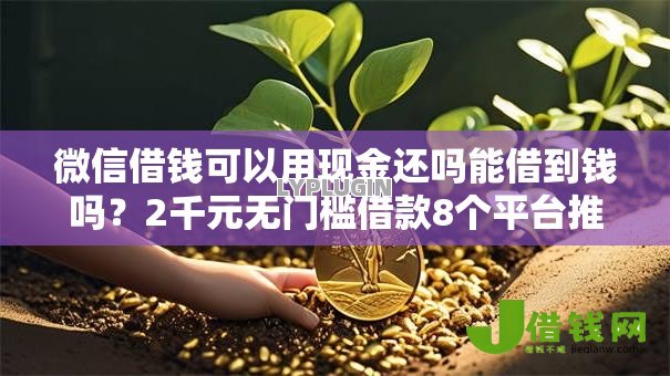 微信借钱可以用现金还吗能借到钱吗?2千元无门槛借款8个平台推荐 微信借钱可以用现金还吗能借到钱吗?2千元无门槛借款8个平台推荐