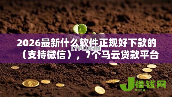 2026最新什么软件正规好下款的(支持微信),7个马云贷款平台无私分享 2026最新什么软件正规好下款的(支持微信),7个马云贷款平台无私分享