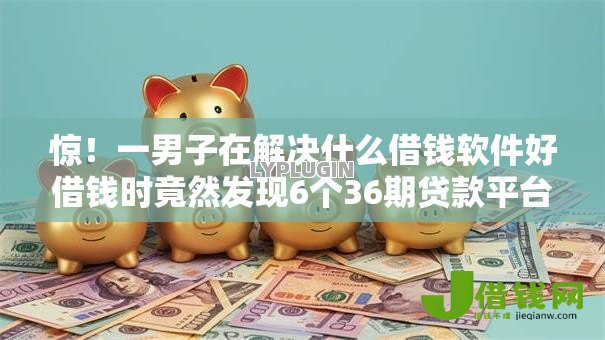 惊！一男子在解决什么借钱软件好借钱时竟然发现6个36期贷款平台，事后分享了出来