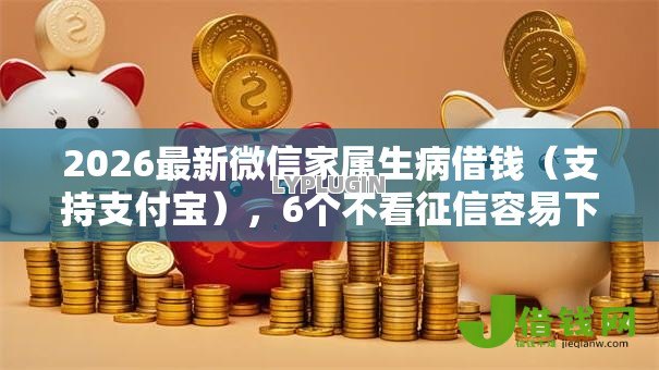 2026最新微信家属生病借钱（支持支付宝），6个不看征信容易下款的口子无私分享