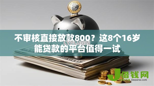 不审核直接放款800?这8个16岁能贷款的平台值得一试 不审核直接放款800?这8个16岁能贷款的平台值得一试