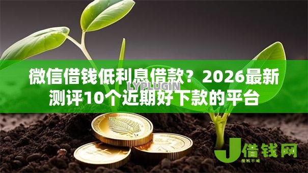 微信借钱低利息借款？2026最新测评10个近期好下款的平台