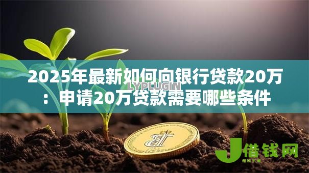 2025年最新如何向银行贷款20万：申请20万贷款需要哪些条件
