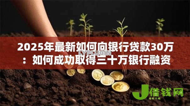 2025年最新如何向银行贷款30万:如何成功取得三十万银行融资 2025年最新如何向银行贷款30万:如何成功取得三十万银行融资