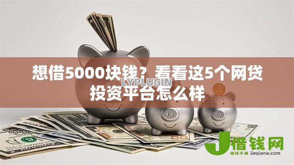 想借5000块钱？看看这5个网贷投资平台怎么样