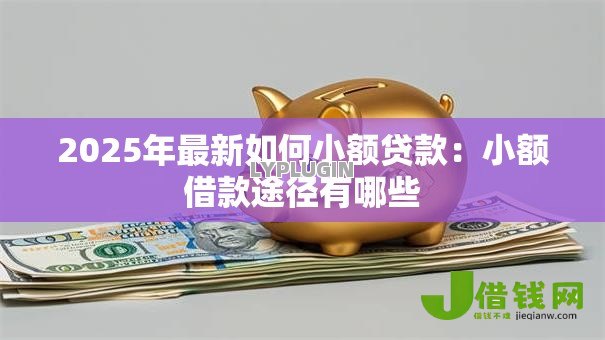 2025年最新如何小额贷款：小额借款途径有哪些