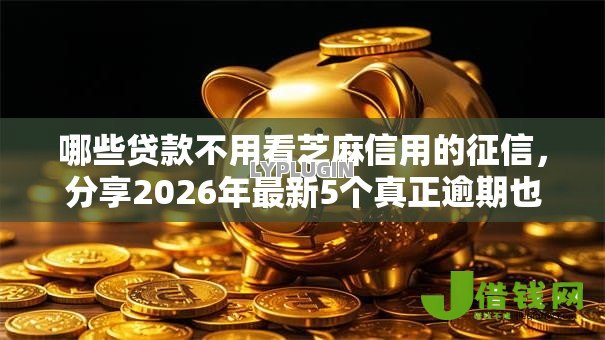 哪些贷款不用看芝麻信用的征信，分享2026年最新5个真正逾期也能贷的平台