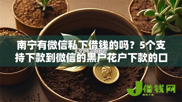 南宁有微信私下借钱的吗？5个支持下款到微信的黑户花户下款的口子2025