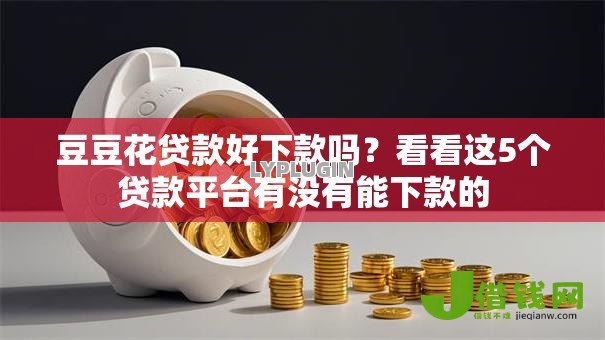 豆豆花贷款好下款吗？看看这5个贷款平台有没有能下款的