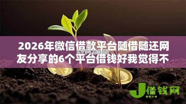 2026年微信借款平台随借随还网友分享的6个平台借钱好我觉得不错！