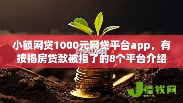 小额网贷1000元网贷平台app，有按揭房贷款被拒了的8个平台介绍