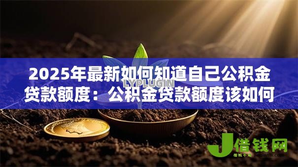 2025年最新如何知道自己公积金贷款额度：公积金贷款额度该如何测算